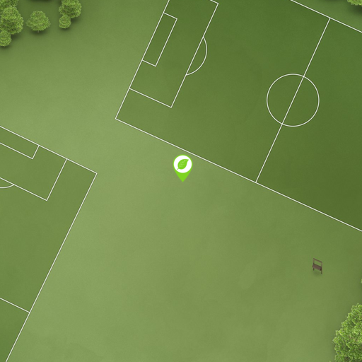 Soccer Field
