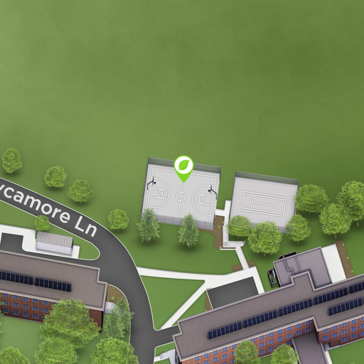 Outdoor Basketball Court