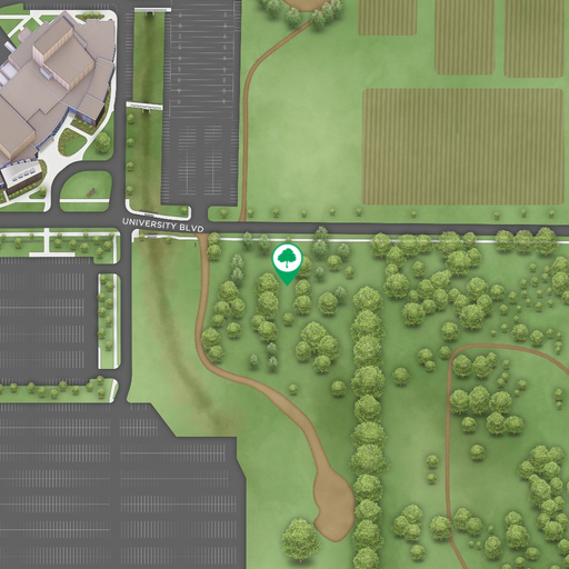 Map snapshot of SDSU Disc Golf Course