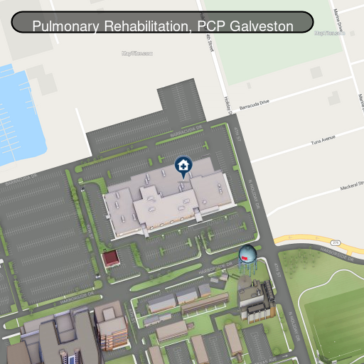 Pulmonary Rehabilitation - Galveston