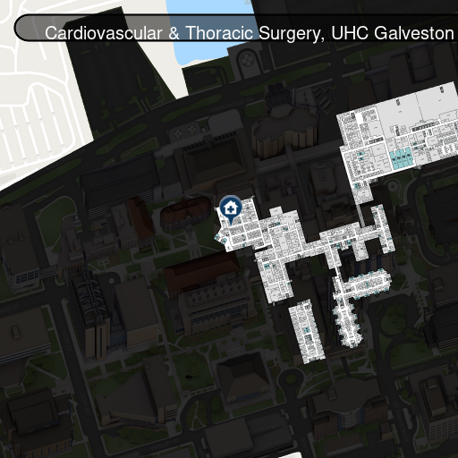 Cardiovascular and Thoracic Surgery - Galveston