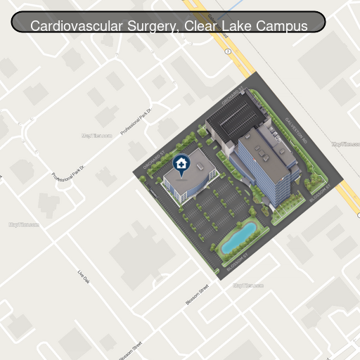 Cardiovascular Surgery - Clear Lake Campus