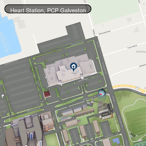 Heart Sation, PCP Galveston